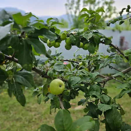 House In The Village - Apple Paradise Gabala Exterior photo